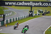 Lower Group Green Bikes